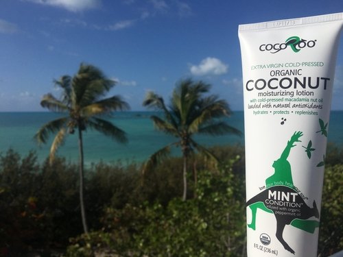 Mint Condition Organic Coconut Oil Moisturizer - Image 4