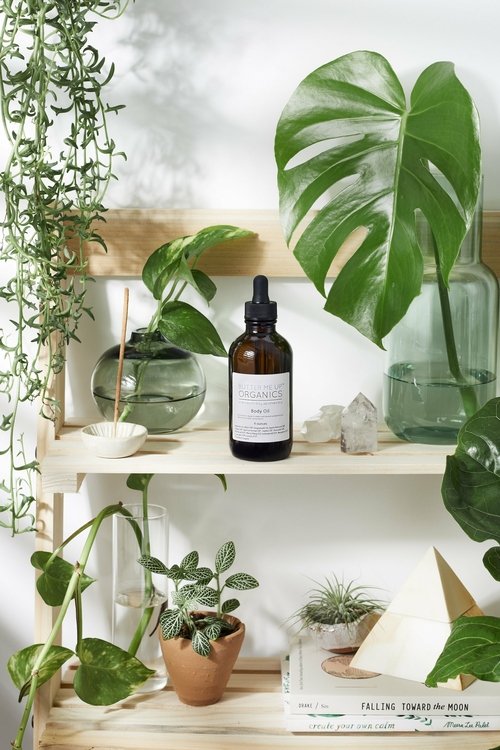 Organic Body Oil πΏπ₯₯β¨ Hydrating, nourishing, lightweight moisturizer for silky smooth skin π§π«πΈ - Image 5
