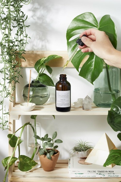 Organic Body Oil πΏπ₯₯β¨ Hydrating, nourishing, lightweight moisturizer for silky smooth skin π§π«πΈ - Image 7