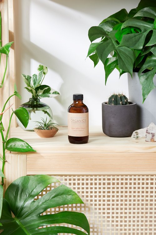 šš² Organic Bay Aftershave & Cologne ā Rugged & Natural š„ - Image 2