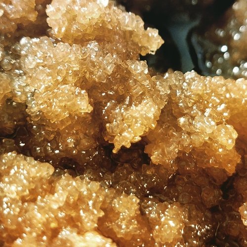 Pumpkin Blueberry Body Exfoliant ππ«β¨ Smooths, nourishes & hydrates skin πΏπ§ Vegan, natural & cruelty-free π° - Image 2
